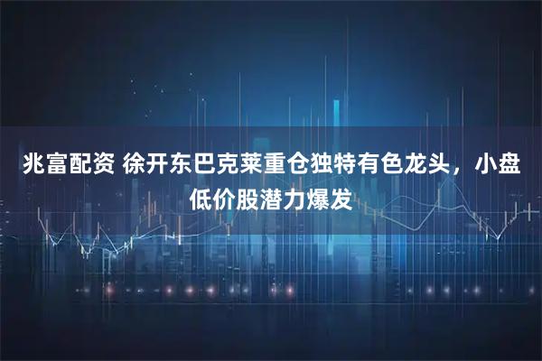 兆富配资 徐开东巴克莱重仓独特有色龙头，小盘低价股潜力爆发