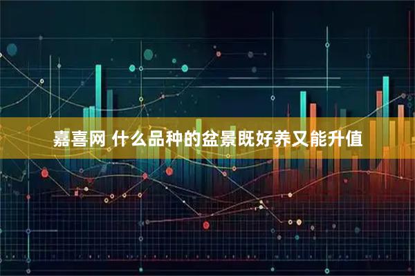 嘉喜网 什么品种的盆景既好养又能升值