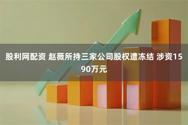 股利网配资 赵薇所持三家公司股权遭冻结 涉资1590万元