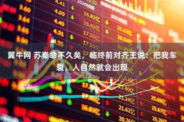 翼牛网 苏秦命不久矣，临终前对齐王说：把我车裂，人自然就会出现