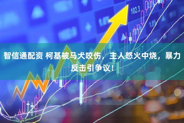 智信通配资 柯基被马犬咬伤，主人怒火中烧，暴力反击引争议！